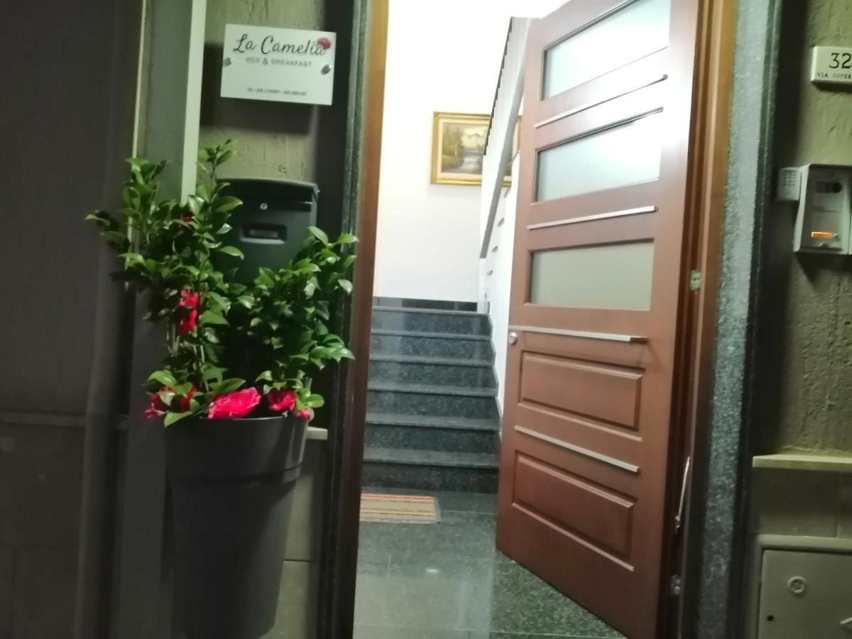 B&B La Camelia Santeramo in Colle Exterior photo